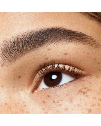 Duo Sourcils " Brow Powder Set "