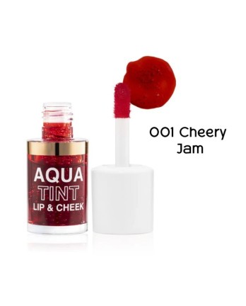 TOPFACE AQUA TINT LIP & CHIC