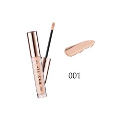 TOPFACE INSTYLE LASTING FINISH CONCEALER