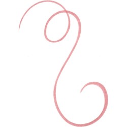 Feutre Lèvres Tattoo " Line Satin "